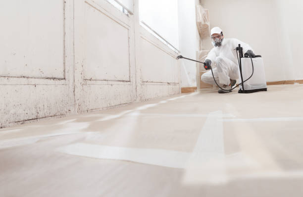 24/7 Emergency Basement Mold Remediation experts in Largo, FL